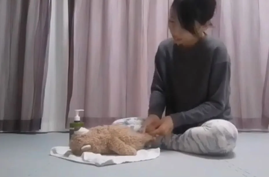 ベビーマッサージ資格