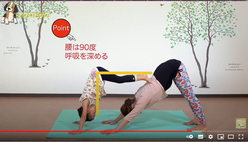 キッズヨガ資格