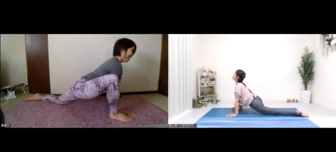 ヨガ資格